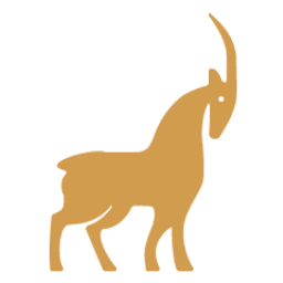 Capella Space favicon
